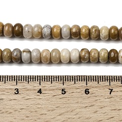 Природные окаменелые коралловые бусы пряди&nbsp;G-A280-A08-01