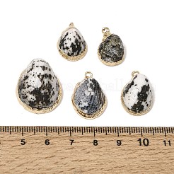 真鍮＆ナチュラルシェルペンダント  巻き貝の形をしたチャーム  金メッキエッジ付き  ブラック  18.5~20x13~14x9mm  穴：1.6mm&nbsp;SH-CBA27C9-05