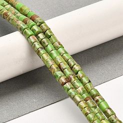 Синтетический регалит / имперская яшма / морские отложения G-F765-E05-01