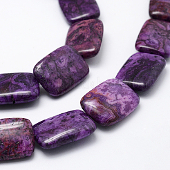 Brins de perles d'agate en dentelle folle naturelle&nbsp;G-L472-C-02B-25x18mm