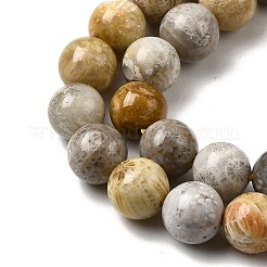 Природные окаменелые коралловые бусы пряди G-A274-B01-8mm