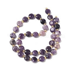 Натуральные лепидолитовые бусины G-C116-A09-02