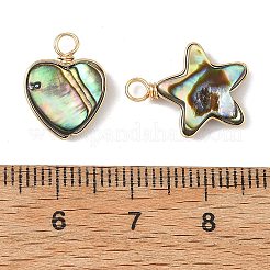 Natur Paua Muschel Anhänger&nbsp;PALLOY-JF05911