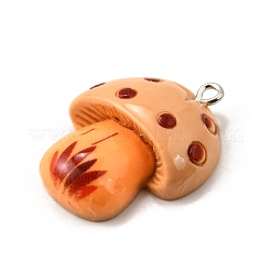 Подвески из смолы FIND-U030-05A-P