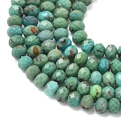 Natur hubei türkisfarbenen Perlen Stränge&nbsp;G-P629-B02-01