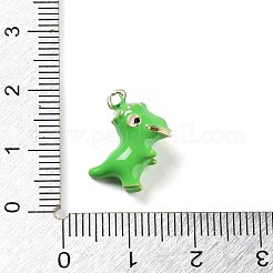 Подвески из эмали и сплава&nbsp;ENAM-H043-01G-08