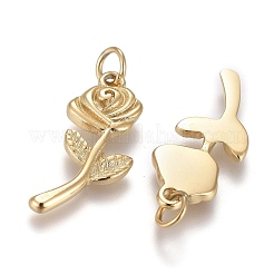 День святого Валентина ионное покрытие (IP) 304 нержавеющая сталь подвески X-STAS-I164-019G