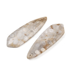 Natürliche fossile Korallenanhänger&nbsp;G-B187-01C-01