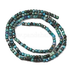 Natürliche Chrysokolla und Lapislazuli Perlen&nbsp;GG-CBA9631-B03-03