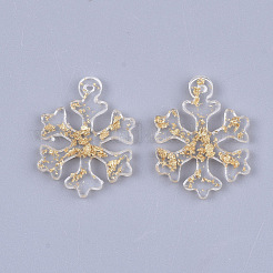 Подвески из смолы X-RESI-T040-004