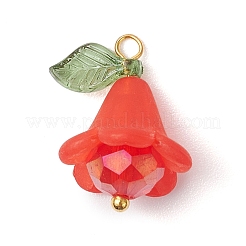 6 шт. подвески из акрила и стекла PALLOY-TA00192