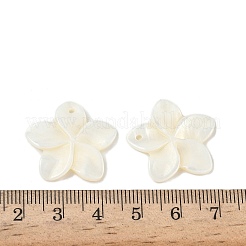 Резные подвески из натуральных пресноводных ракушек SHEL-K006-59