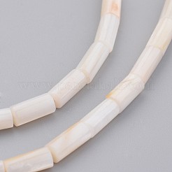 Conchiglia naturale fili di perle&nbsp;BSHE-P012-20