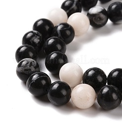 Природные зебры яшмы бисер нитей G-E072-01B