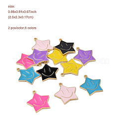 12шт 6 цвета сплава эмалевые подвески&nbsp;ENAM-FP0001-75