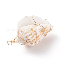 Большие подвески из натуральных ракушек PALLOY-JF01204