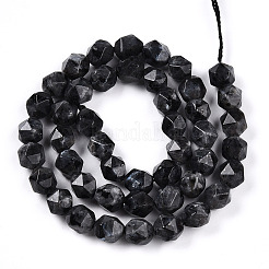 Натуральные нити бус из ларвикита G-T139-8mm-51