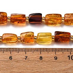 Нити бусин из натурального янтаря градиентного цвета G-F803-D01-02