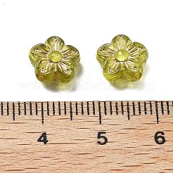 Прозрачные акриловые бусины OACR-Q016-10A