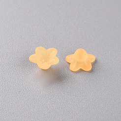 Прозрачные акриловые бусины PL554-07