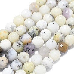 Натуральный белый опал африканские бусы пряди&nbsp;G-B165-A12-8mm