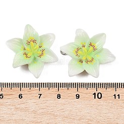 不透明樹脂ペンダント  花のチャーム  プラチナ鉄ループ付き  淡緑色  30x26x7mm  穴：1.8mm&nbsp;CRES-D328-04B