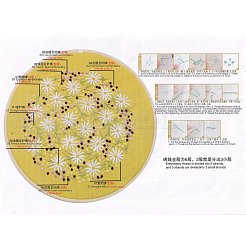 刺繡キット  DIYクロスステッチキット  刺繡フープ付き  菊柄の針と布  色付きの糸  命令  キクの柄  21.4x21x0.03cm  1色/ライン  7色&nbsp;DIY-M026-02A