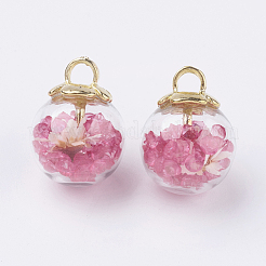 Стеклянный шар подвески GLAA-N0020-02E