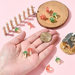 10шт 2 цвета пластиковые подвески KY-FS0001-32