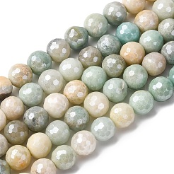 Натуральный цветок амазонитовые бусины пряди&nbsp;X-G-O164-02-8mm