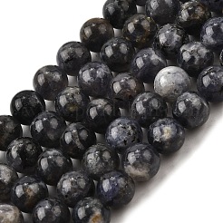 Природные иолит нитей бисера&nbsp;G-E561-16-10mm