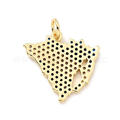 Pendentifs avec zircon cubiques à micro-pavés en laiton&nbsp;KK-G416-03G-02