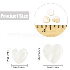 30шт натуральные пресноводные бусины из ракушек&nbsp;SHEL-YW0001-18