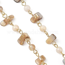 Cadenas de eslabones con cuentas de acero inoxidable 304 y conchas naturales de agua dulce&nbsp;AJEW-JB01657