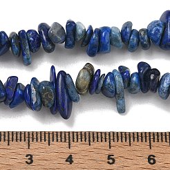 Natürliche Lapislazuli Chip-Perlen Stränge&nbsp;X-G-E271-121