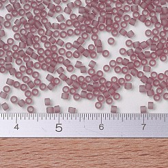 Miyuki Delica Perlen&nbsp;SEED-JP0008-DB0765