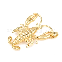 Латунные подвески&nbsp;LS-KK-Z145-07G-02