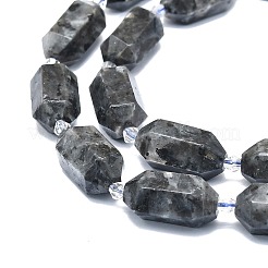 Fili di perline di larvikite naturale&nbsp;G-F715-056
