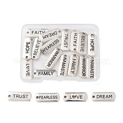 20шт 10 стиля подвески из сплава в тибетском стиле&nbsp;TIBE-FP0001-14