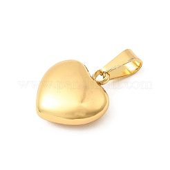 Pendentifs en acier inoxydable 304&nbsp;STAS-C163-02A-G