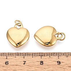 Anhänger aus chirurgischem Edelstahl 316&nbsp;STAS-N097-032