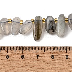 Natur Labradorit Perlen Stränge&nbsp;GG-CBADF20-A05