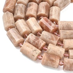 Натуральный Sunstone бисер пряди&nbsp;G-G453-E09-10x14mm