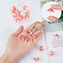 20шт пластиковые подвески&nbsp;KY-SC0001-62