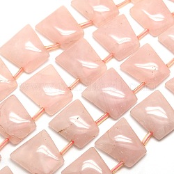 Trapezoid Natural Rose Quartz Beads Strands, 23~25x19~22x6~7mm, Hole: 1mm, about 16pcs/strand, 15.7 inch