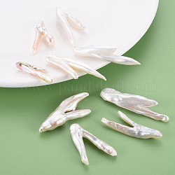 Natural Keshi Pearl Beads, Cultured Freshwater Pearl, No Hole/Undrilled, Chicken Feet, Seashell Color, 32~50x9~25x4~8mm