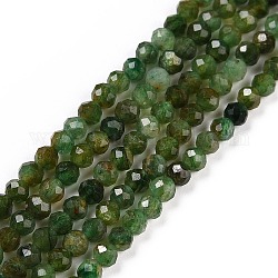 Brins de perles fuchsite naturelles, facette, ronde, 3mm, Trou: 0.6mm, Environ 126 pcs/chapelet, 15.16 pouce (38.5 cm)