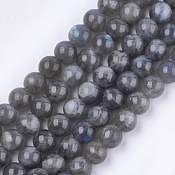 Natural Labradorite Beads Strands, Grade AB+, Round, 10mm, Hole: 1mm, about 38~39pcs/strand, 15.3 inch