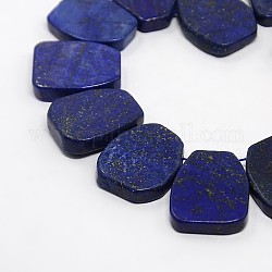 Natural Lapis Lazuli Beads Strands, Dyed & Heated, Trapezoid, 18~32x12~27x3~9mm, Hole: 1mm, about 29pcs/strand, 16inch