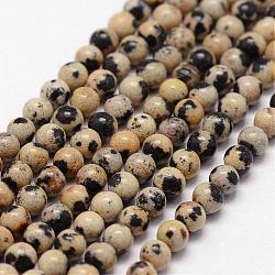Chapelets de perles en jaspe dalmatien naturelle, ronde, 3mm, Trou: 0.5mm, Environ 125 pcs/chapelet